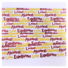 Load image into Gallery viewer, Ribbon by the Yard - 7/8" - HP - Wizard School - Spells