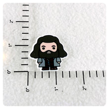 Load image into Gallery viewer, Set of 2 - Planar Resin - HP - Hagrid - Giant