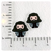 Load image into Gallery viewer, Set of 2 - Planar Resin - HP - Hagrid - Giant