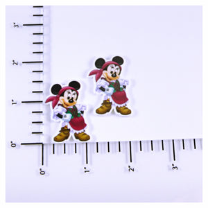 Set of 2 - Planar Resin - Pirate Minnie