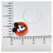 Load image into Gallery viewer, Set of 2 - Planar Resin - Disneyland Passholder
