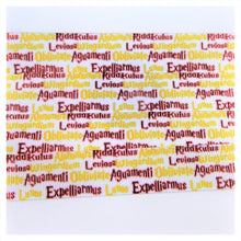 Load image into Gallery viewer, Ribbon by the Yard - 7/8&quot; - HP - Wizard School - Spells
