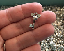 Load image into Gallery viewer, Set of 10 - Mouse Head Key Charms - Tibetan Silver Tone
