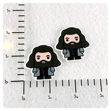 Load image into Gallery viewer, Set of 2 - Planar Resin - HP - Hagrid - Giant
